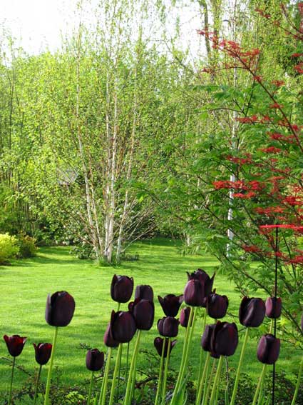 Angelika Kerutt Garden Images